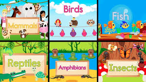 Animal Song Animated Have Fun Teaching Amphibians Activities Animal Activities