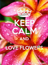  Keep Calm And Love Flowers Poster Keep Calm And Smile Keep Calm Pictures Keep Calm