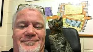 Kitten found glued to the road and rescued