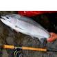 Annual RVTU Steelhead Trip event image