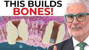 What Are the Latest Innovations in Managing Osteoporosis and Preventing  Falls? with Ian Cutts