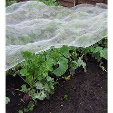 If you want to keep more berries and fruits for yourself here's an easy way to cover your fruiting you will find that this fruit tree netting helps protect the leaves on your plant from insects as well as protecting the fruit. 8 Ft X 12 Ft Garden Netting Mesh Fabric Net Screen For Protecting Plants Flowers Vegetables Fruits White Eibmn0812n The Home Depot