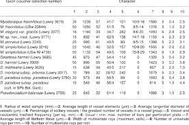 Image result for Astropanax myrianthus