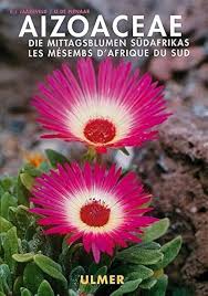 Image result for Aizoaceae