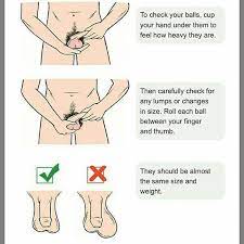 Most people diagnosed with it are over the age. Mypaddi Testicular Cancer Occurs In The Testicles Facebook
