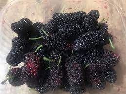 Uçaklarda cam kenarının tercih edilmesinde bir çok sebep bulunmaktadır. Ekim 2020 Gunes Ten Ay A