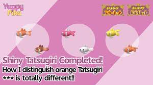 Completed Shiny Tatsugiri Line! How I distinguish orange Forms【Pokémon  Scarlet & Violet】 - YouTube