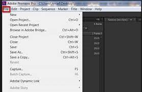 By runnig it, there is. How To Export Adobe Premiere Pro To Mp4 Easily Solved