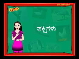 Birds In Kannada Preschool Learning Youtube