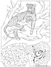 Ausmalbild Leopard Ausmalbilder Fur Kinder Ausmalbilder Wenn Du Mal Buch Ausmalbilder Tiere
