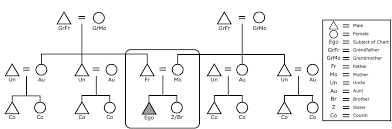 Blank Kinship Chart Basic Electrical Wiring Theory