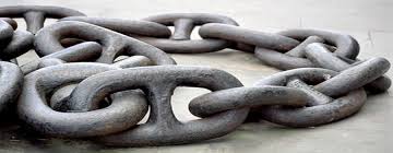When you call our free phone number you will be put in touch with one of our friendly experts. Local Links Useful Resources Edinburgh Pest Control