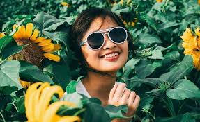 Daun daun unik brwarna merah. 4 Wisata Taman Bunga Matahari Yang Lagi Hits Di Jogja Arena Wisata Tour And Travel Terpercaya
