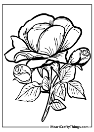 These flowers coloring pages printables will give your child a feeling of spring all year round. Rose Coloring Pages Original And 100 Free 2021