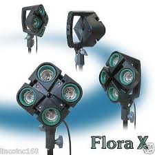 Linco Lincostore Studio Lighting Photography Photo Portrait Light Kit Linco Inc