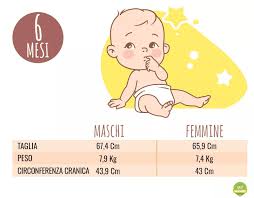 Translation of 'il mondo insieme a te' by max pezzali (massimo pezzali ) from italian to english. Il Tuo Bambino Di 6 Mesi Sviluppo Del Bambino Mese Dopo Mese