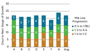 Yield Impact Of Premature Plant Death In Corn Pioneer Seeds