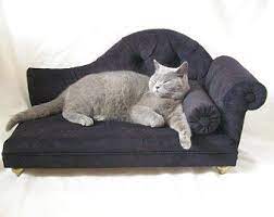 Maybe you would like to learn more about one of these? Sofa Bed Pet Chaise Lounge Pet Props Photo Shoots By Sofaforpets Cat Bed Dog Sofa Bed Animal Pillows