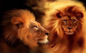3d Lion Wallpapers Free Download 3840x2400 Wallpaper Teahub Io Wildlife lion ringtones and wallpapers. 3d lion wallpapers free download