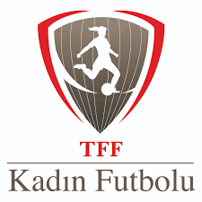 Türkiye resmi formasını 2003 yılına kadar adidas üretmiştir. Tff Logo Kullanimlari Lig Logolari Tff