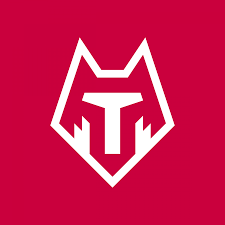 Лого рпл, логотип рпл, эмблема рфпл. Novyj Stil Fk Tambov Quberten