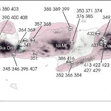 Image result for Costularia natalensis