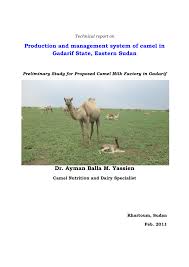 Price per square meter to buy apartment outside of centre. Pdf Production And Management System Of Camel In Gadarif State Sudan