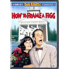 How To Frame A Figg Dvd Walmart Com In 2021 Don Knotts Movies Don Knotts Funny Movies