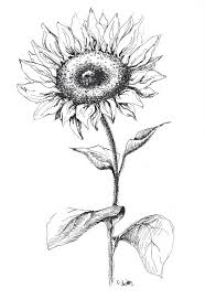Select from 35970 printable coloring pages of cartoons, animals, nature, bible and many more. Pin On Flowers