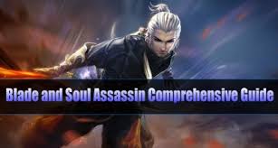 The assassin class is a mobile class with decent burst damage, but is fragile. Soul Fighter Comprehensive Guide In Blade Soul U4gm Com