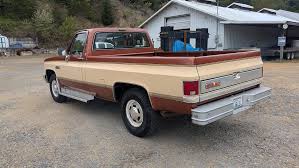 Image result for Brown 1986 Fleet