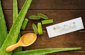 Magic Jelly Lovera Mengandungi Khasiat Lidah Buaya Untuk Kecantikan Magic Jelly Lovera Mengandungi Khasiat Lidah Buaya Un Sabun Cuci Lingkaran Gelap Aloe Vera