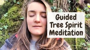 Guided Tree Spirit Meditation