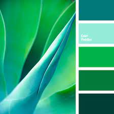 The word is often used colloquially to refer to shades of cyan in general. Color Palette 3895 Color Palette Ideas