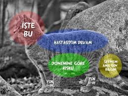 Hayvanlari Nasil Ve Neresinden Sevmemiz Gerektigini Renklerle Anlatan 8 Infografik Onedio Com