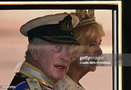 1,797 Ben Buckingham Photos & High Res Pictures