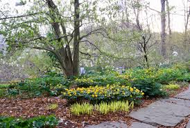 Facebook'ta inside out indoor garden supply'nin daha fazla içeriğini gör. Visiting A Garden Center This Spring Be Strategic The New York Times