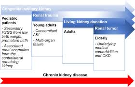 Current Management Of Patients With Acquired Solitary Kidney Kidney International Reports