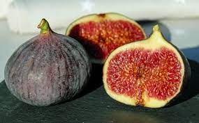 6 cara paling mudah menanam buah tin agar berbuah lebat. Buah Tin Segar Perlis Sintok News