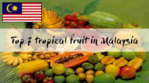 Healthy malaysian fruits you should eat today! Top 7 Tropical Fruit In Malaysia Youtube