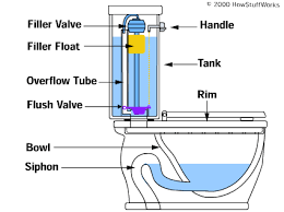 The flush of this toilet has a loud whoosh because the water stored in a sealed tank. How Toilets Work Flushing System