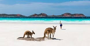 See more of australia.com on facebook. 10 Reasons Why Australia Is A Great Place To Live And Work Consultanz Recruitment