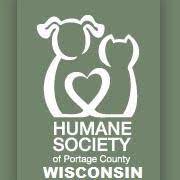 Countless strays that would otherwise be roaming the street seek refuge in an animal shelter. Pets For Adoption At Humane Society Of Portage County In Plover Wi Petfinder