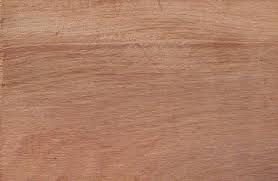 Image result for Breonadia