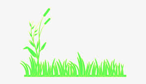 We did not find results for: Green Grass Clip Art Grass Clipart Black Background Png Image Transparent Png Free Download On Seekpng