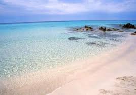 Torre San Giovanni La Pineta E La Spiaggia Spiagge Viaggio France Vacanze Da Sogno