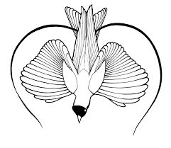 Simple Bird Of Paradise Drawing Bird Of Paradise Google Search Bird Sketch Black And White Drawing Drawings