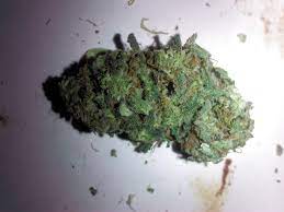 Jamaican Marijuana Strain Information Leafly