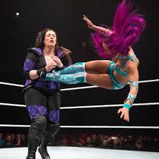 Sasha banks wwe guy on instagram: Wwe Women Wwe Live Event 2017 Hannover Germany Sasha