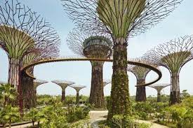 Greenest Cities Around The World To Research Singapore Travel Singapore Garden Places To Travel